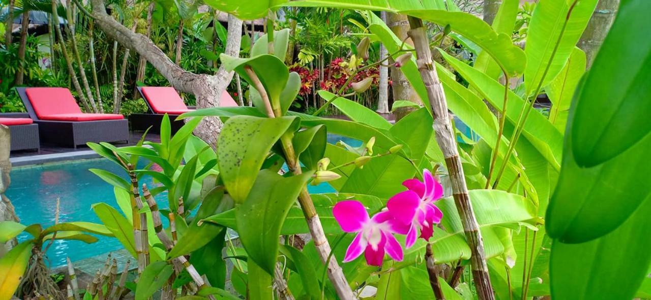 Bali Harmony Villa Ubud Eksteriør bilde